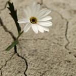 There Is Always A Way