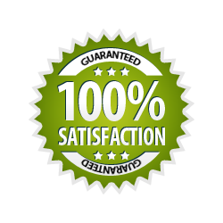 Satisfaction Guarantee 100% - Burst Badge Green