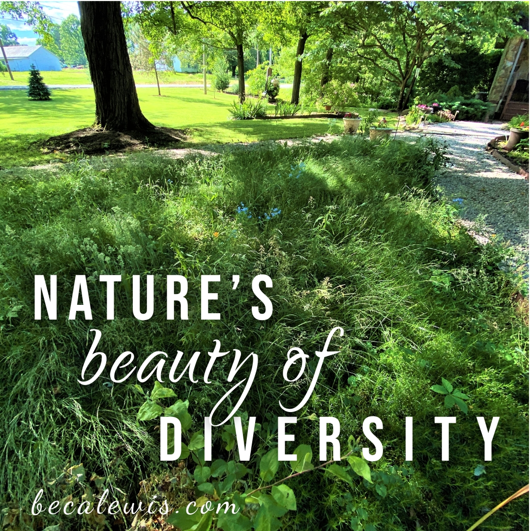 Nature's Beauty Of Diversity - Beca Lewis